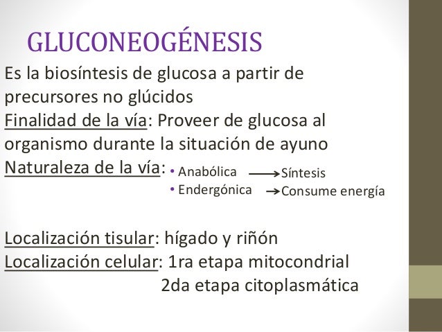 Gluconeogenesis